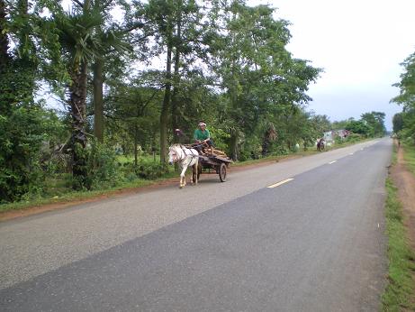 Le cheval...