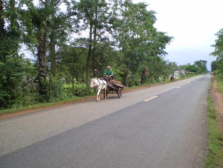 Le cheval... 